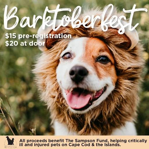 barktoberfest-2024