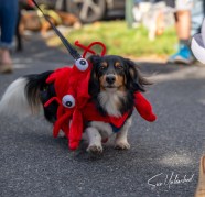Cape Cod Events October 2024 Rina Martguerita Cape Cod Events October 2024 Rina Martguerita