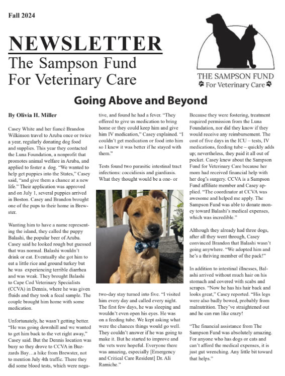 fall-2024-sampon-fund-newsletter