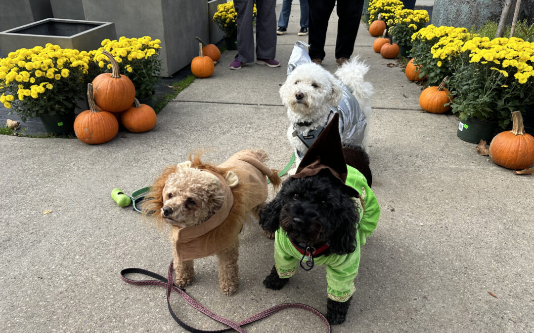 Howl-o-Ween Pet Parade