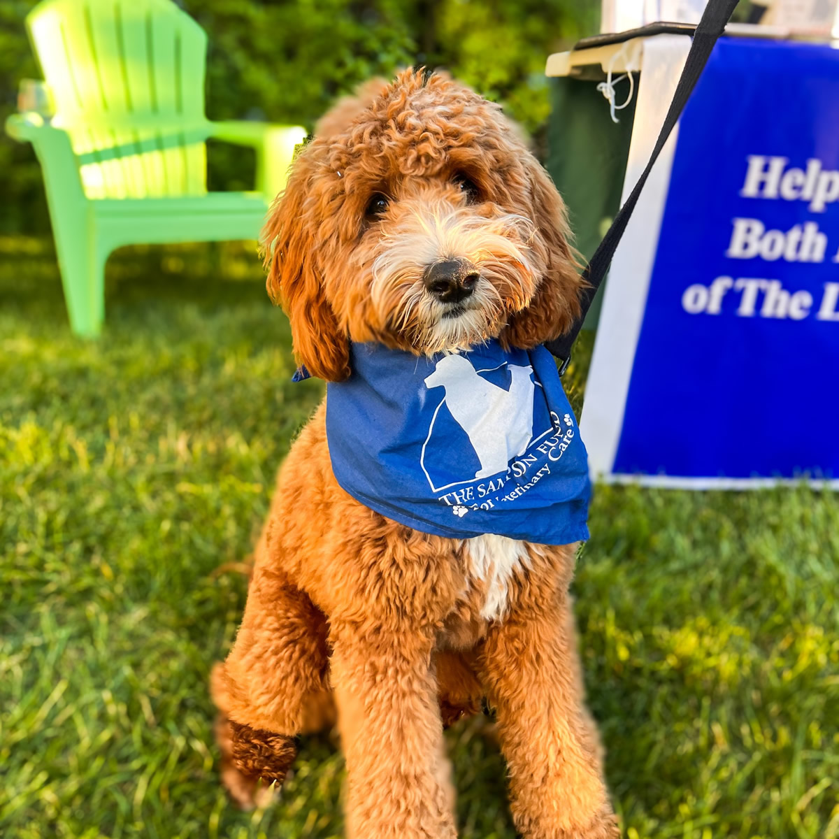 yappy-hour-barley-neck inn-2024