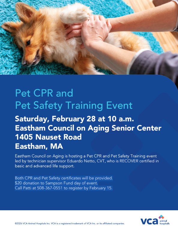 Pet CPR and Pet Safety Training Event
