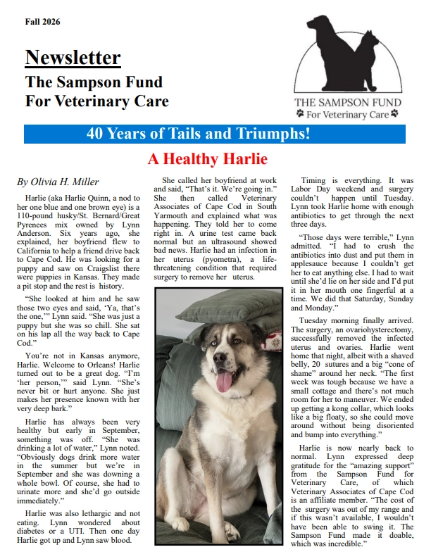 sampson-fund-fall-2026